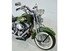 Harley-Davidson 1450 Heritage Springer (1999 - 03) - FLSTS (6)