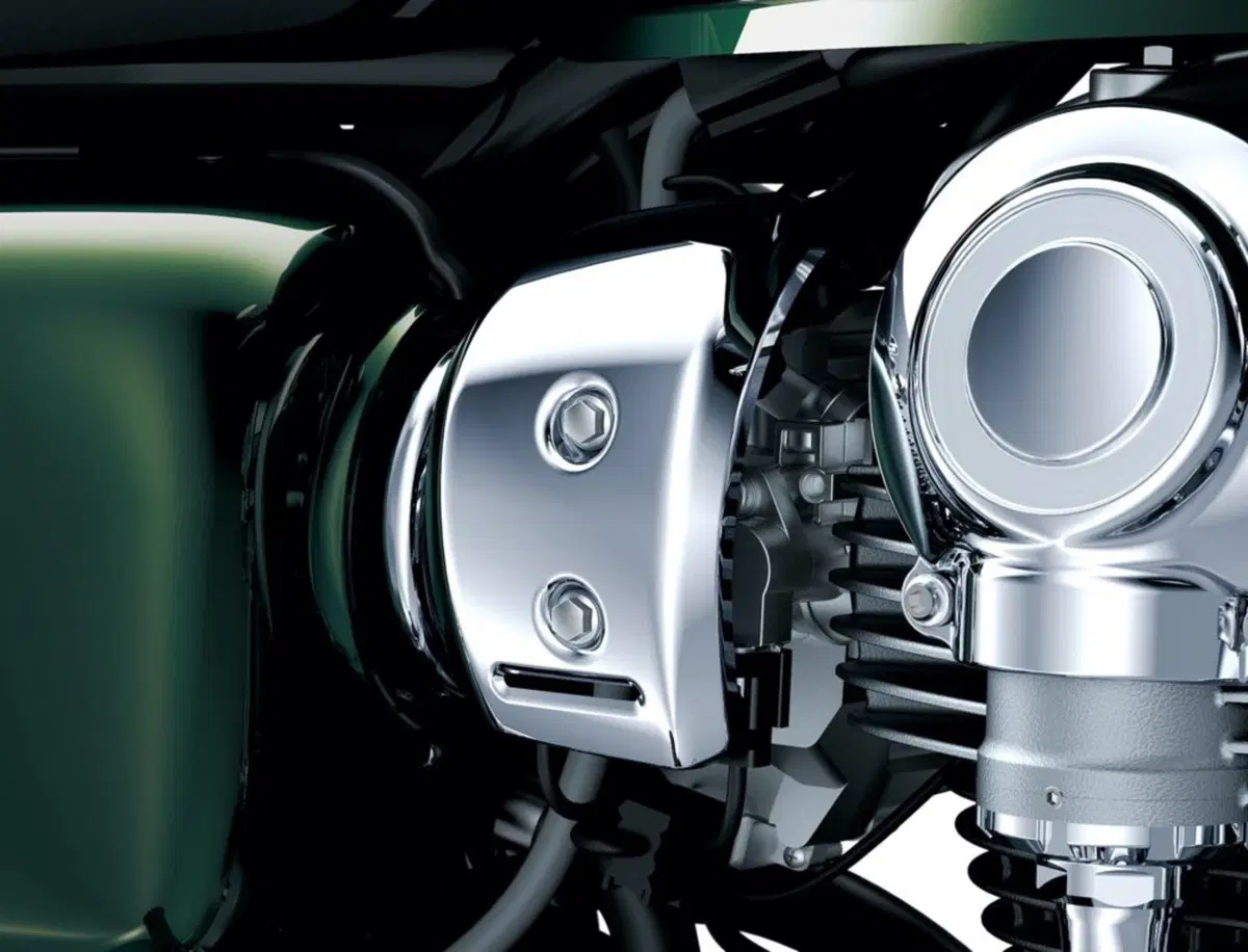 Kawasaki W 800 W 800 (2020) (14)