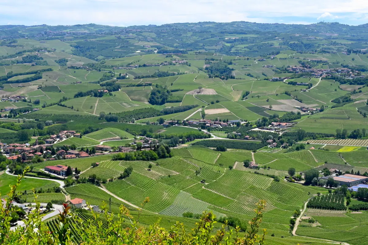 Mototour Honda Motorbike nelle Langhe, Roeri, Monferrato (21)