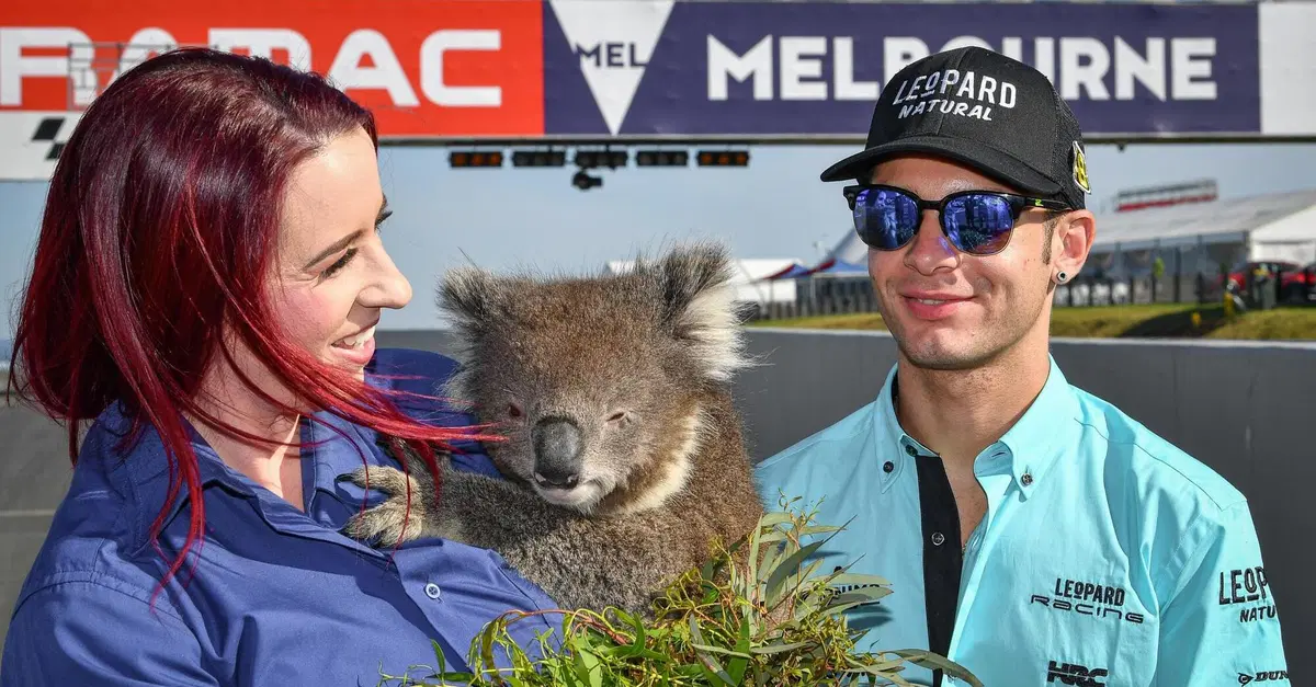 MotoGP 2019. I temi del GP d'Australia