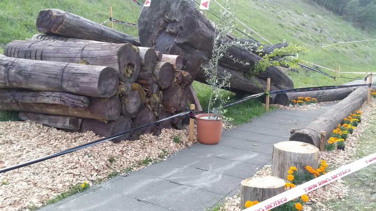 Training Zone -Campionato Mondiale Trial. GP del Giappone, Motegi 2016 (10)