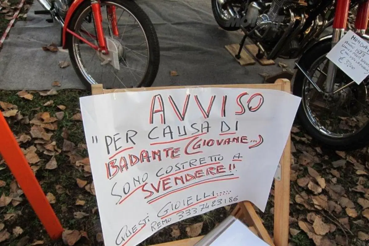 Live da Novegro: la fotogallery della mostra-scambio (44)