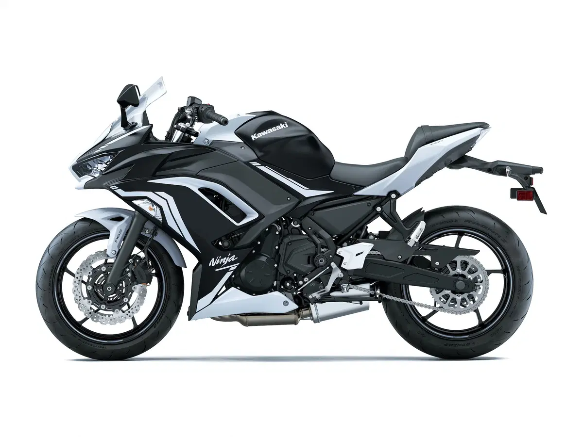 Kawasaki Ninja 650 Ninja 650 (2020) (3)