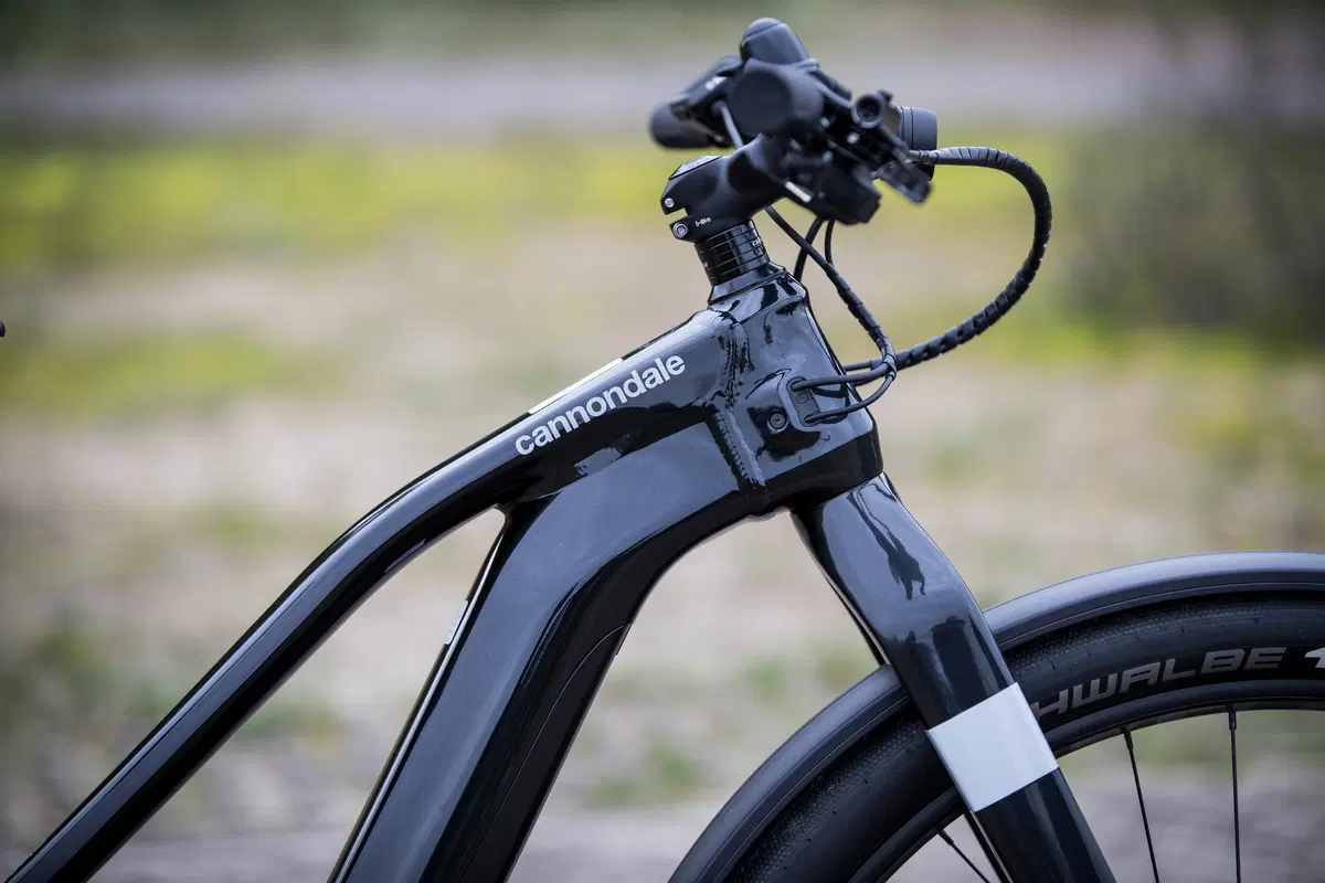 Cannondale Urban 2020 (4)
