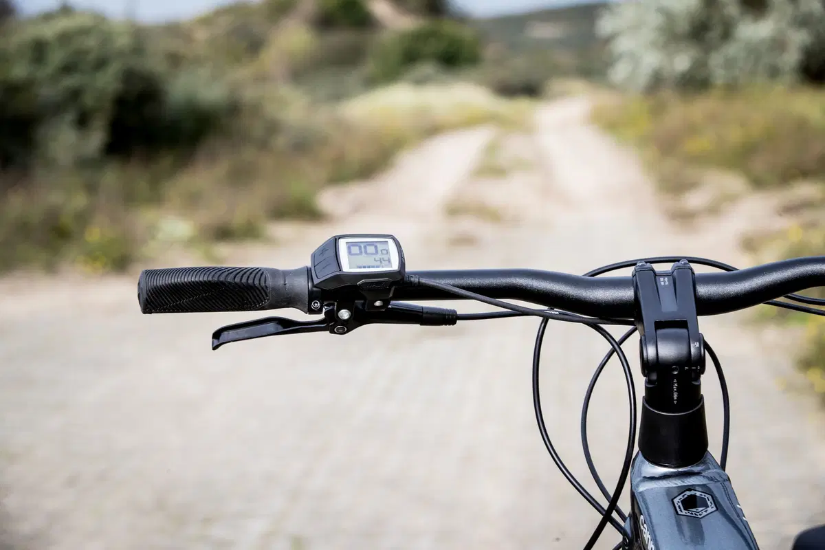 Cannondale Urban 2020 (9)