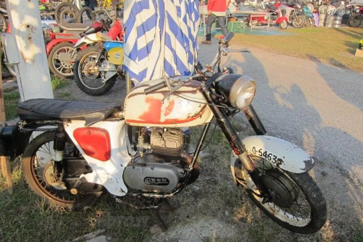 Live da Novegro: la fotogallery della mostra-scambio (122)
