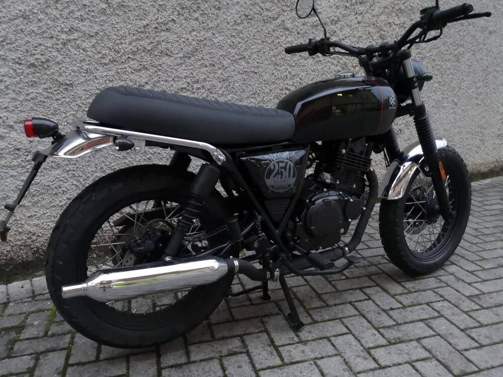 Brixton Motorcycles Cromwell 250 (2021 - 24) (4)