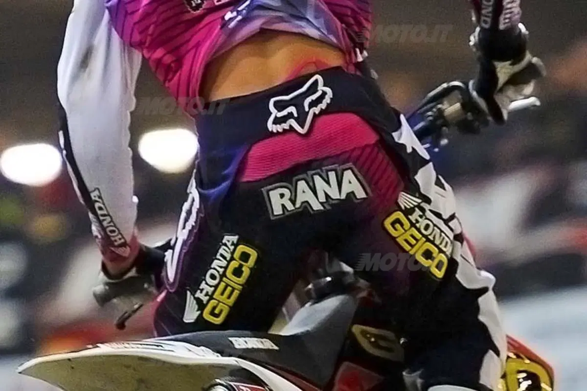 Reed Re di Genova (26)
