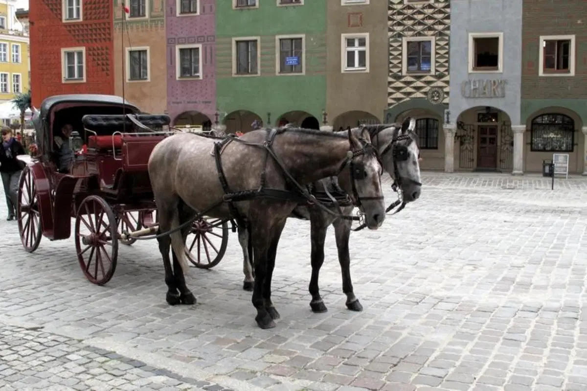 In Vespa da Milano a Copenaghen (e ritorno) (33)
