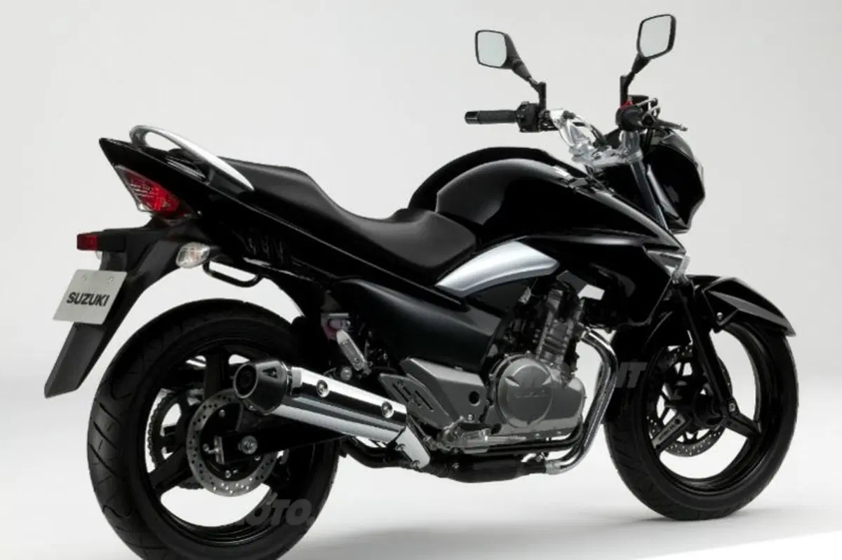 Suzuki Inazuma 250 (2)