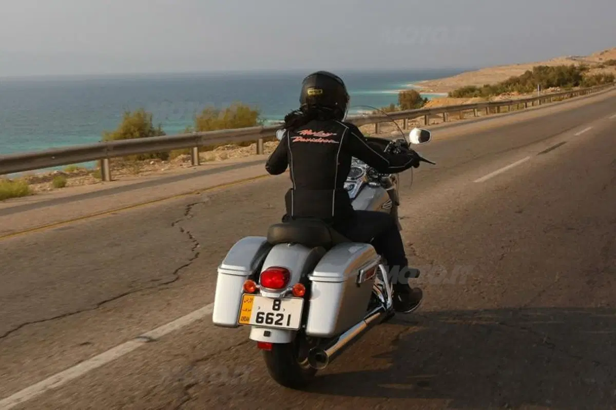 Harley-Davidson FLD Dyna Switchback  (5)