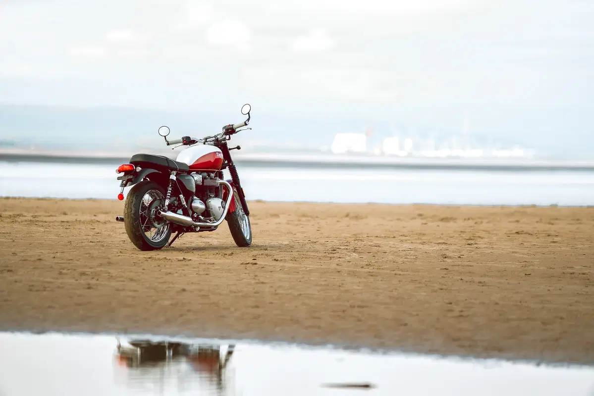 Triumph Bonneville T100 Bonneville T100 Bud Ekins SE (2020) (6)