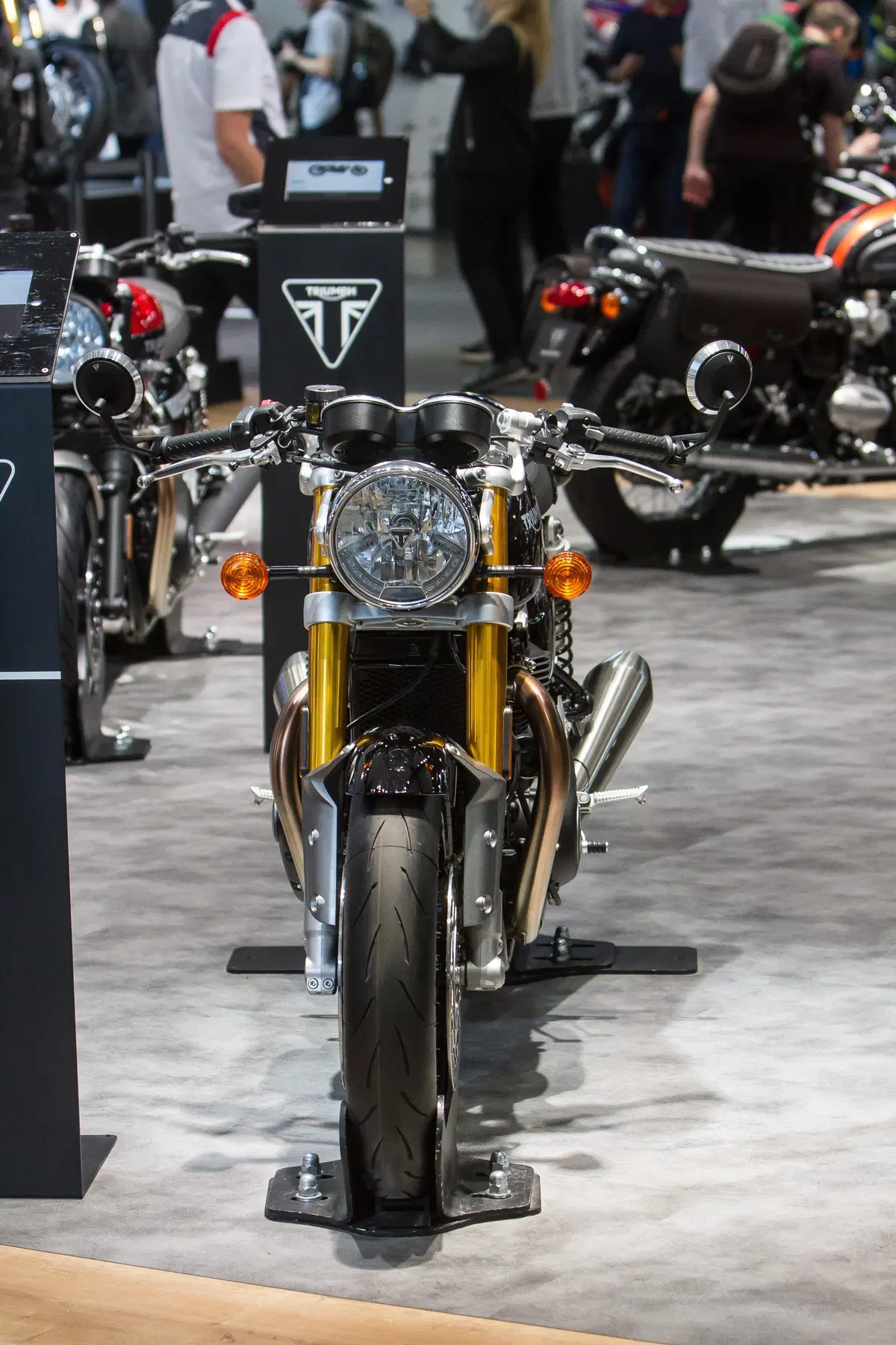 Triumph Thruxton RS a EICMA 2019. Foto e dati (6)
