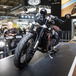  Triumph Bobber TFC a EICMA 2019: foto e dati 