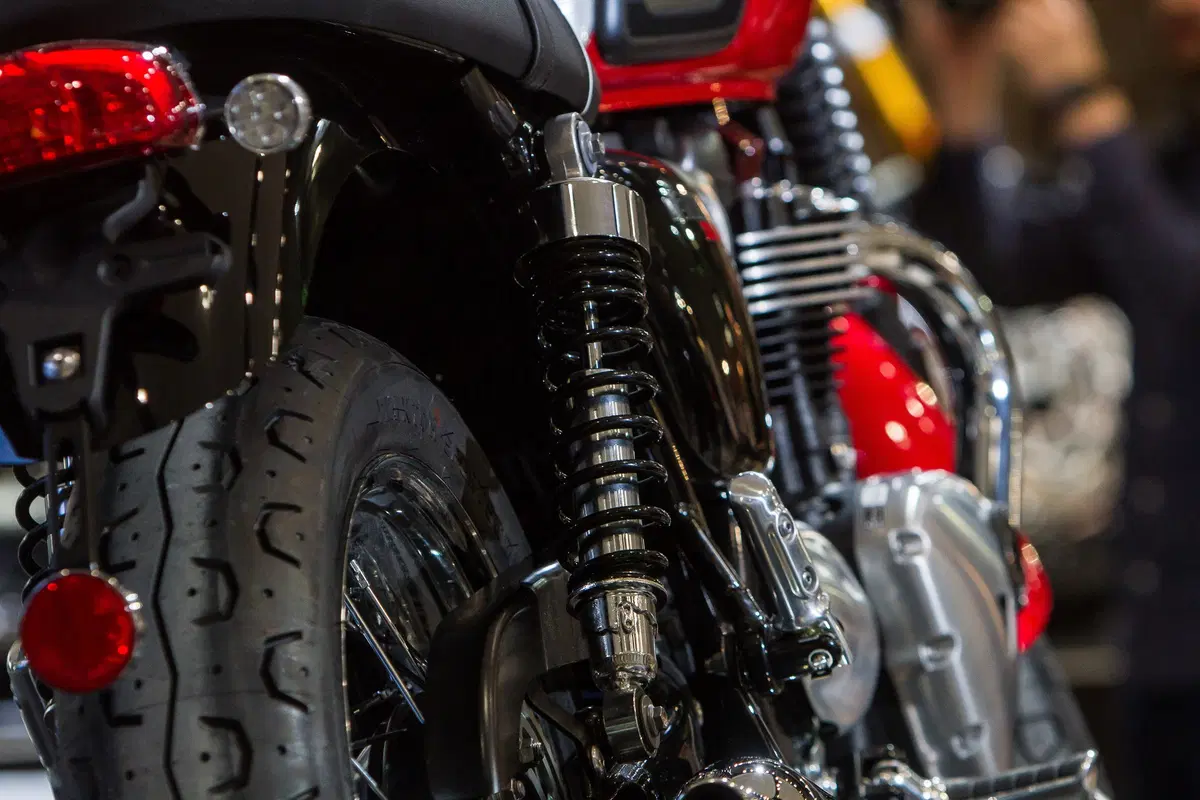 Triumph Bonneville T120 e T100 Bud Ekins (15)