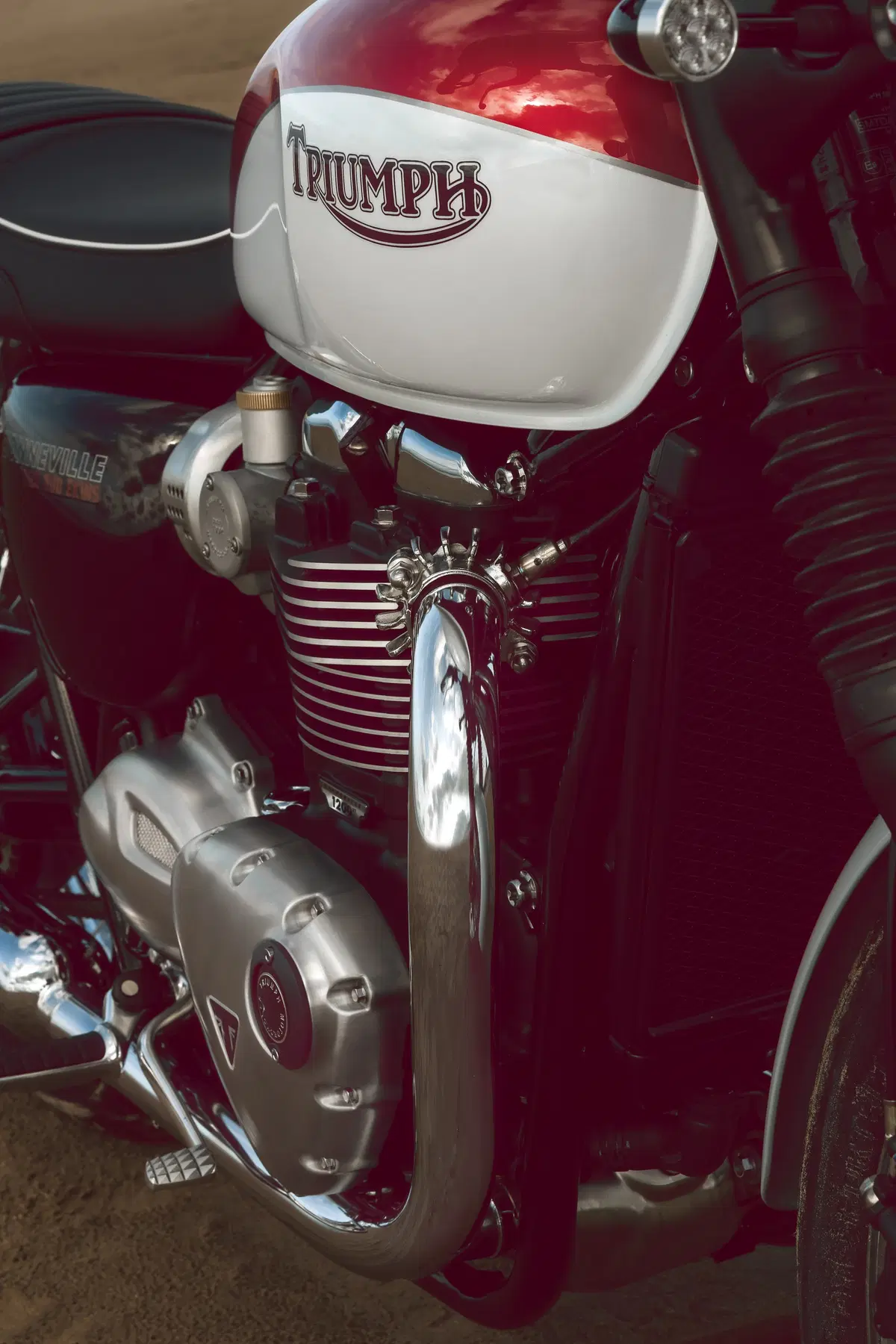 Triumph Bonneville T120 e T100 Bud Ekins (41)