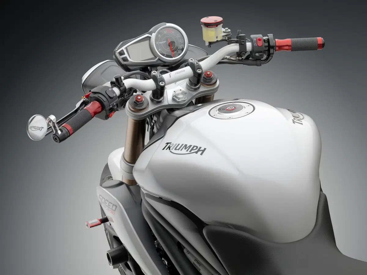 Rizoma per Triumph Speed Triple 1050 (4)