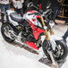  Nuova BMW F 900 R a EICMA 2019: foto, dati e prezzi