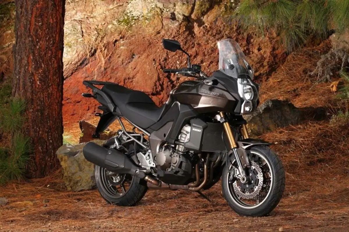 Kawasaki Versys 1000  (33)