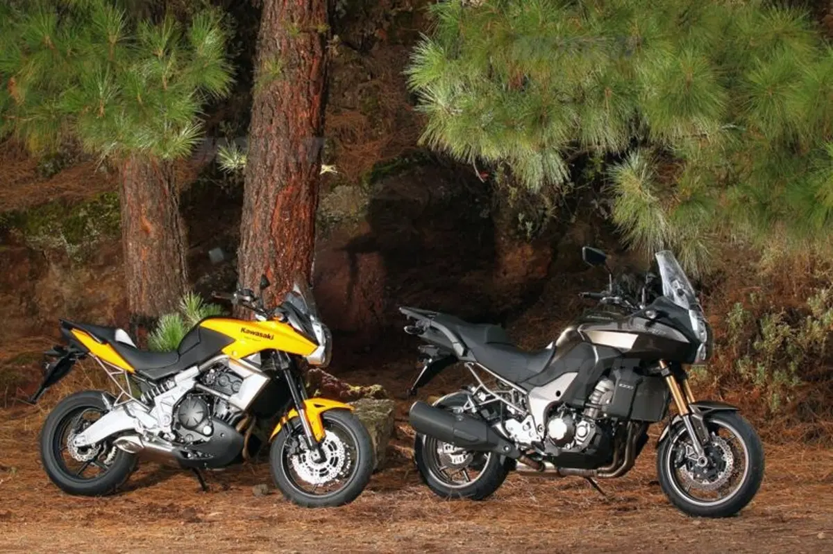 Kawasaki Versys 1000  (45)