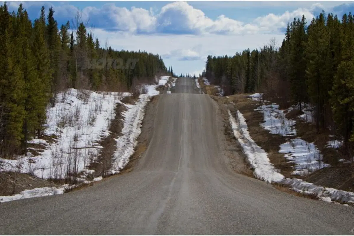 Viaggi in moto: dalla California all'Alaska (10)
