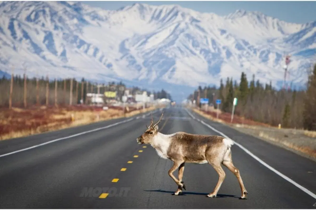 Viaggi in moto: dalla California all'Alaska (39)