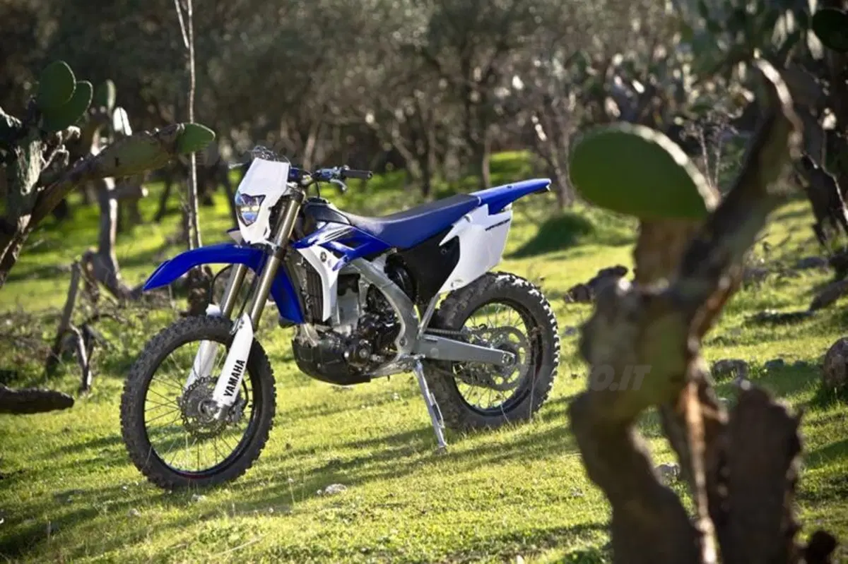 Yamaha WR 450 F 2012  (21)