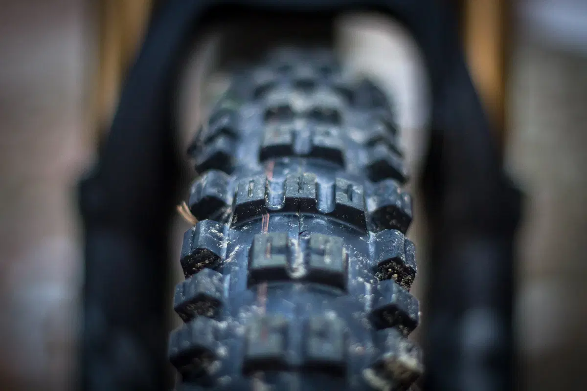 Test. Schwalbe Eddy Current, la prima gomma per eBike  (2)