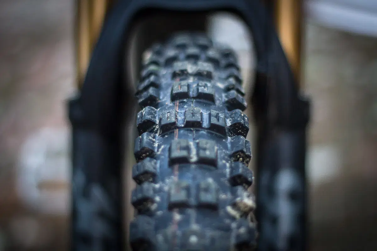 Test. Schwalbe Eddy Current, la prima gomma per eBike  (3)