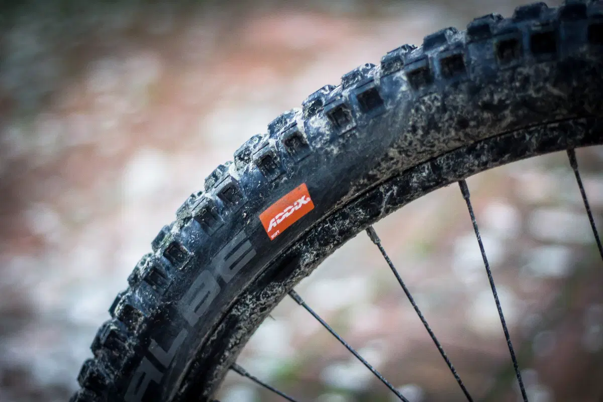 Test. Schwalbe Eddy Current, la prima gomma per eBike  (5)
