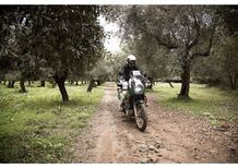 Raid degli Oliveti in Sardegna il 14 dicembre con Moto.it