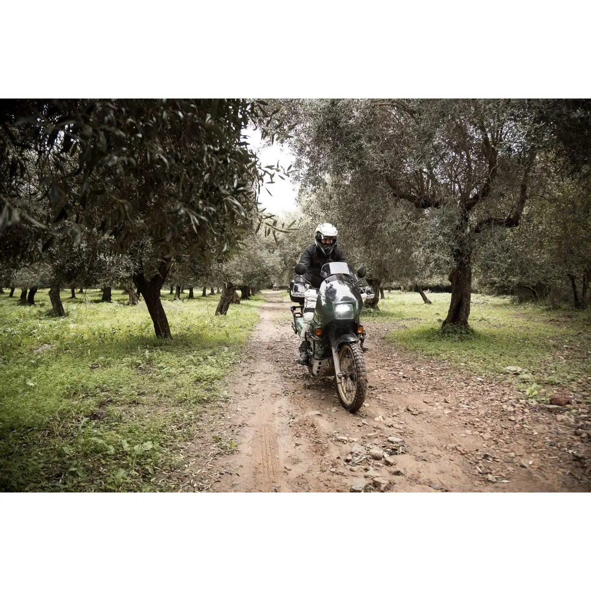 Raid degli Oliveti in Sardegna il 15 dicembre con Moto.it (2)