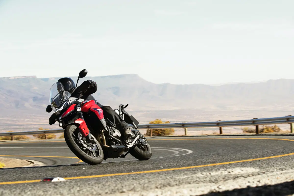 Nuova Triumph Tiger 900 2020