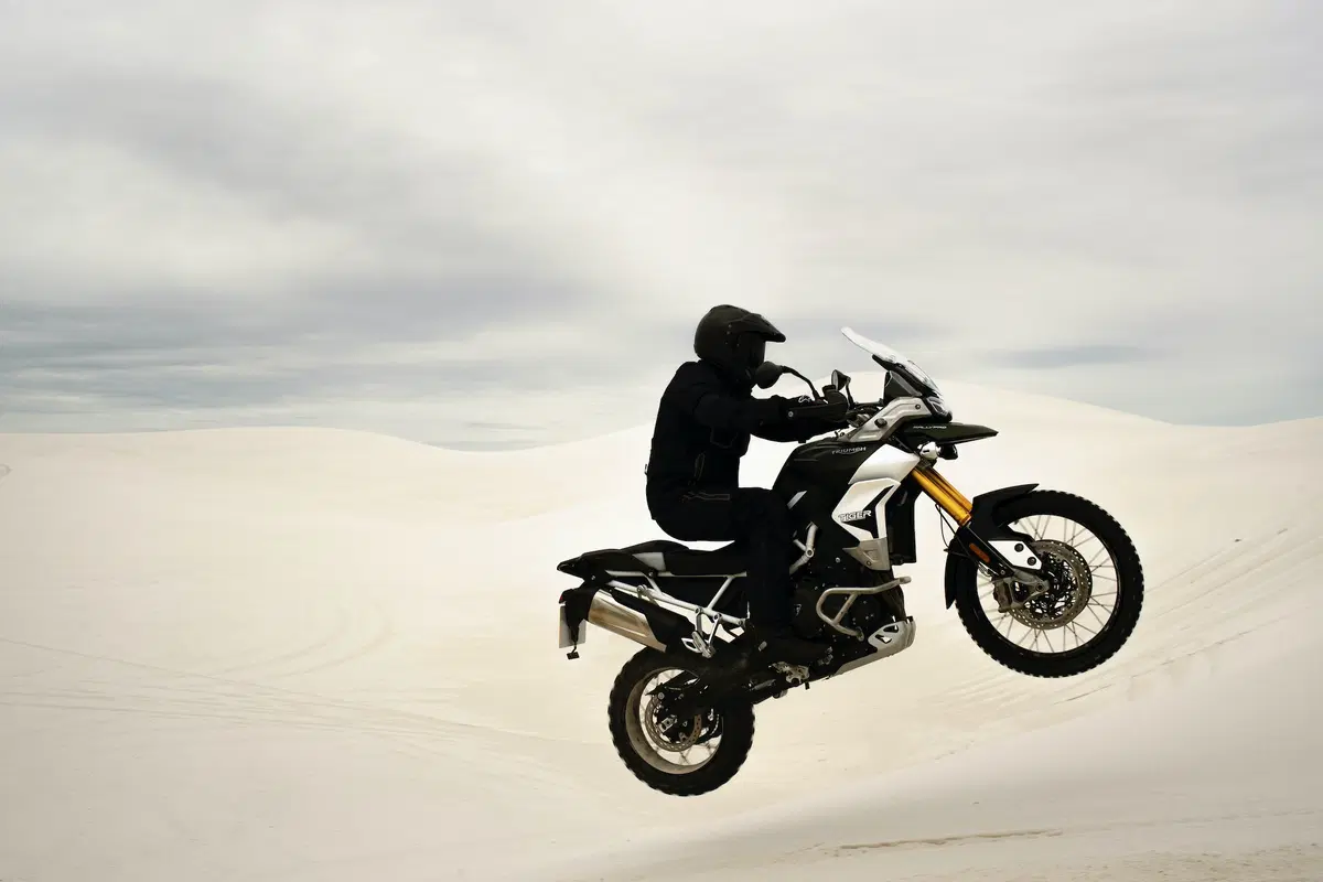 Nuova Triumph Tiger 900 2020 (5)