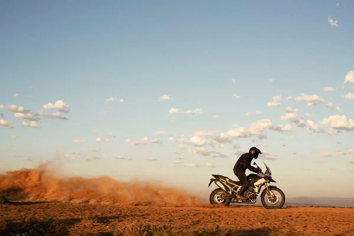 Nuova Triumph Tiger 900 2020 (8)