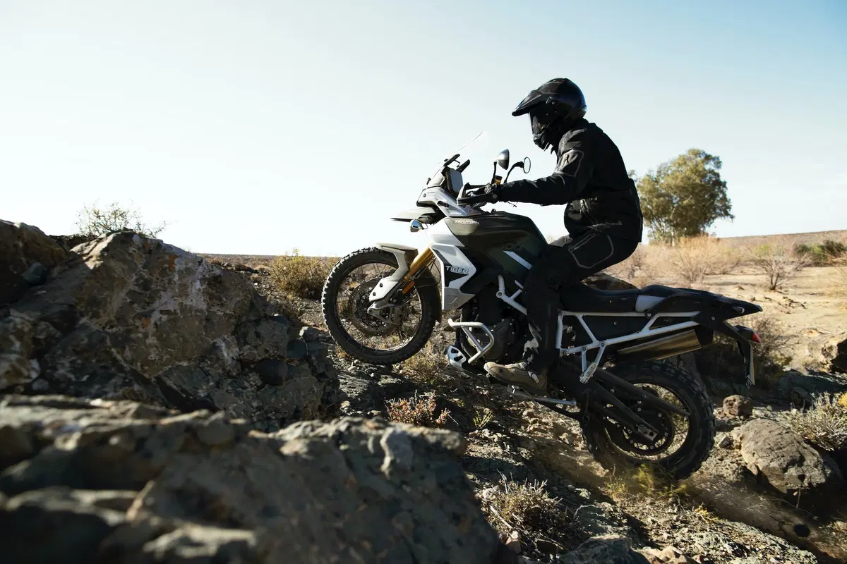 Nuova Triumph Tiger 900 2020 (20)