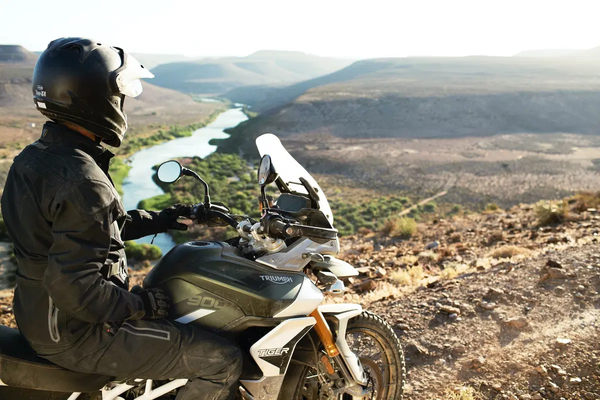 Nuova Triumph Tiger 900 2020 (23)
