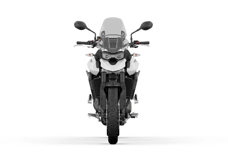 Triumph Tiger 900 Tiger 900 (2020) (2)