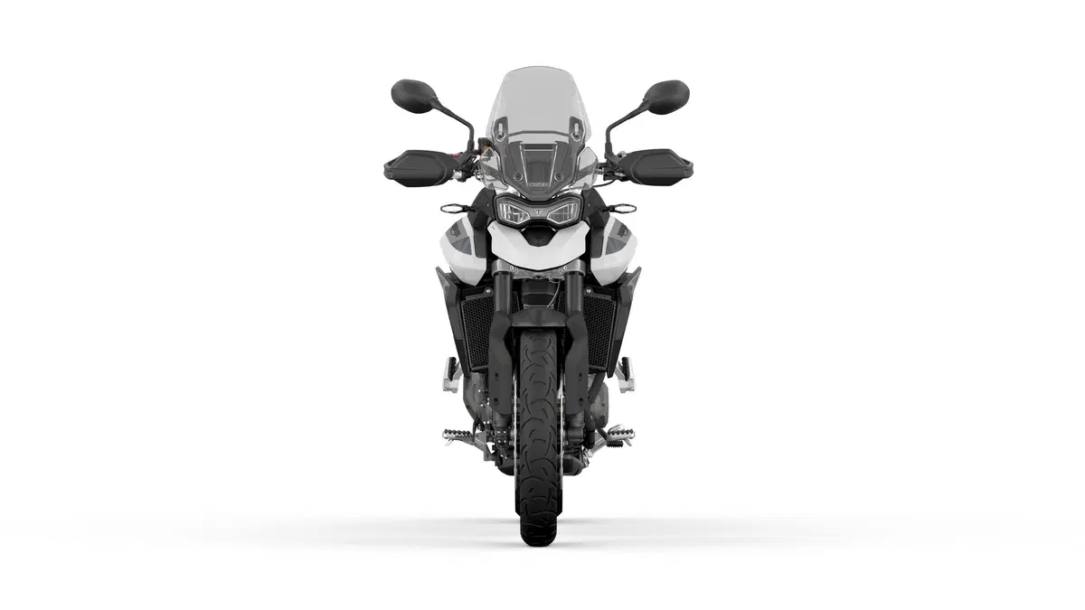 Triumph Tiger 900 Tiger 900 GT (2020 - 23) (19)