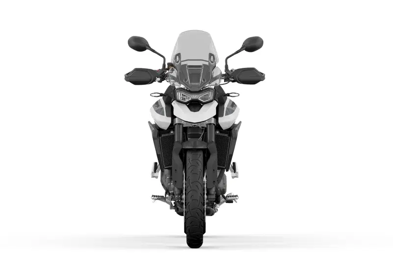 Triumph Tiger 900 Tiger 900 GT (2020 - 23) (19)