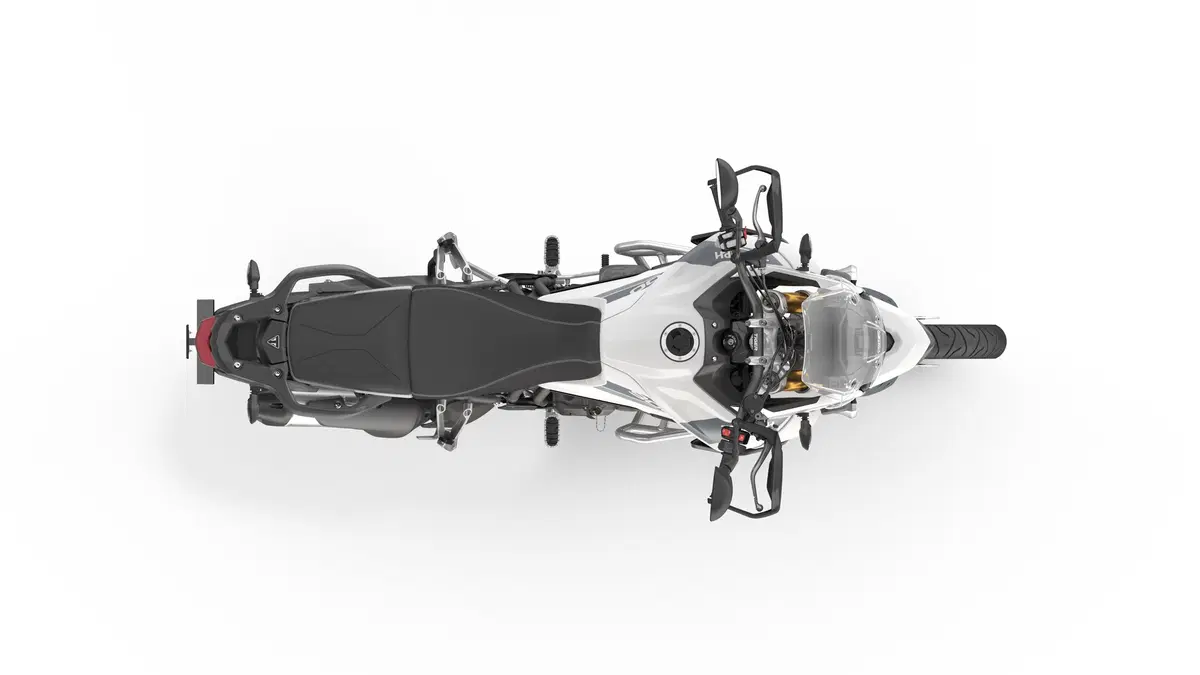 Triumph Tiger 900 Tiger 900 Rally Pro (2020 - 23) (17)