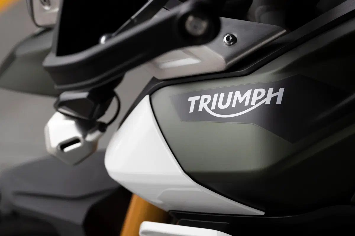 Triumph Tiger 900 Tiger 900 Rally Pro (2020 - 23) (21)