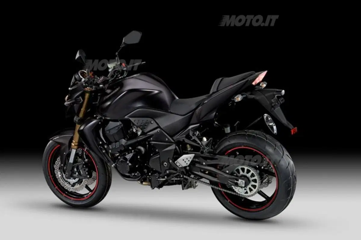 Kawasaki presenta le Special del 2012 (40)