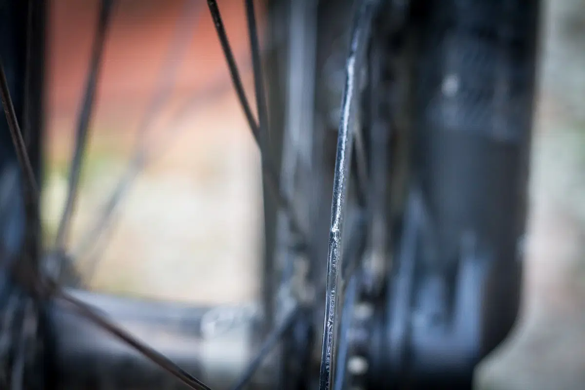 Freni eBike. Passare ai dischi da 220 mm conviene... anche al portafoglio (7)