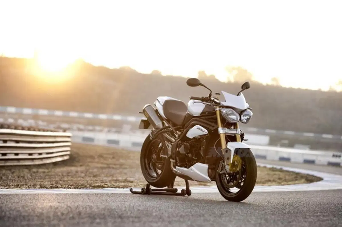 Triumph Speed Triple 1050 R  (19)