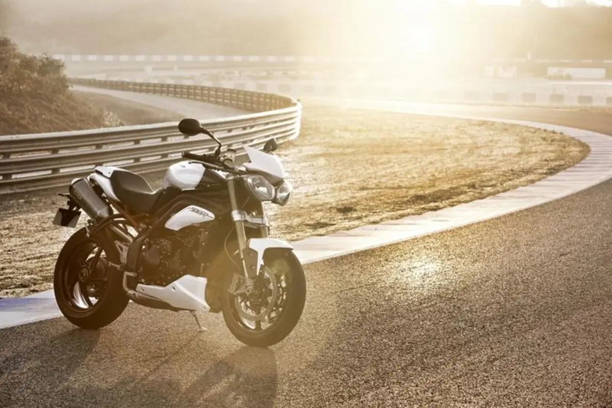 Triumph Speed Triple 1050 R  (30)
