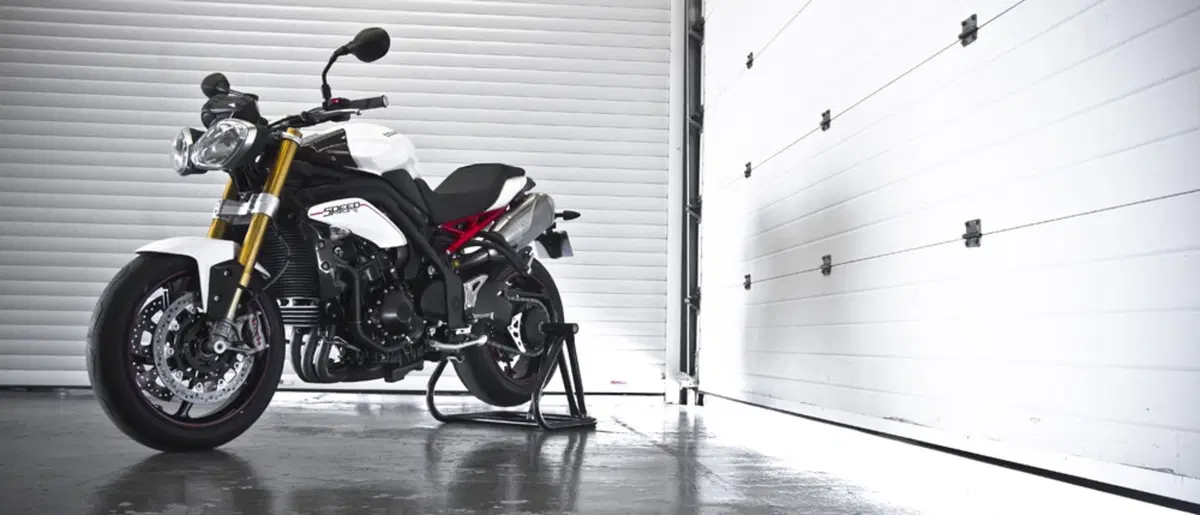 Triumph Speed Triple 1050 R  (43)
