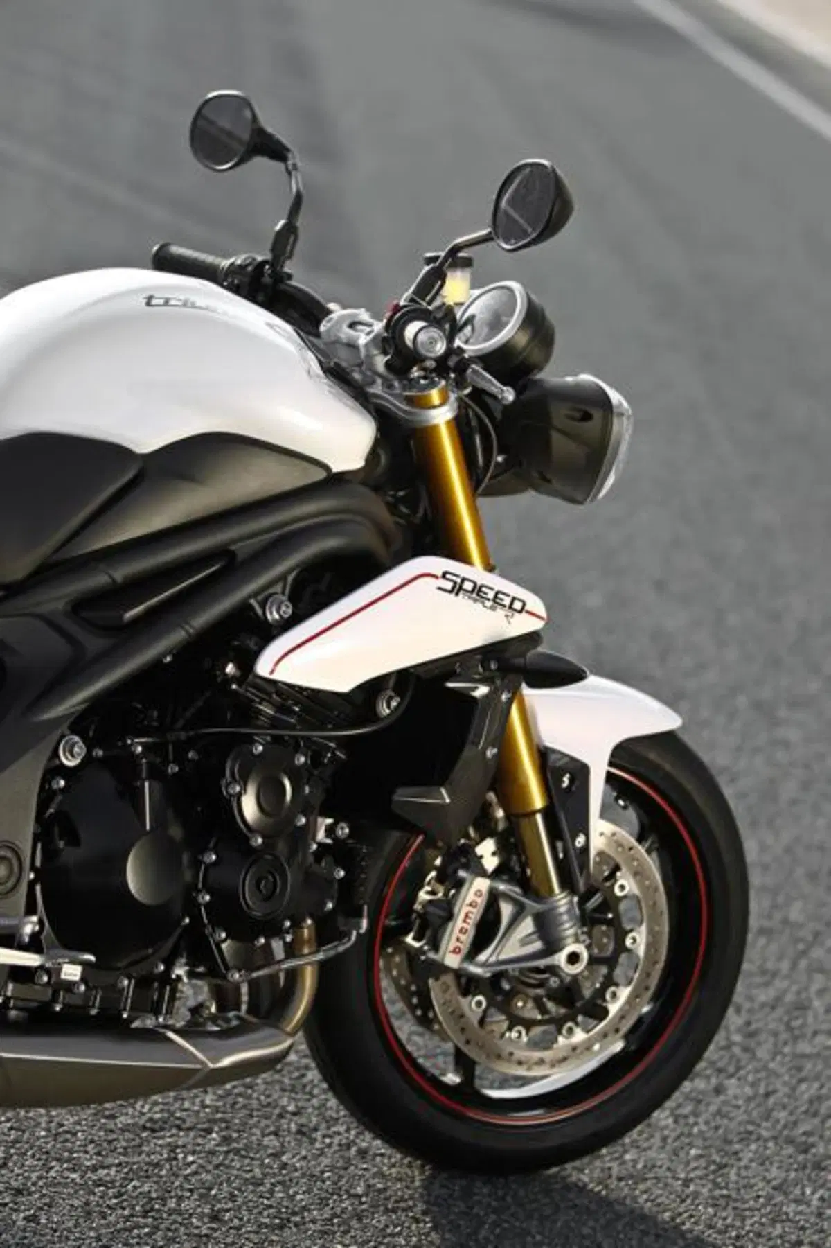 Triumph Speed Triple 1050 R  (56)