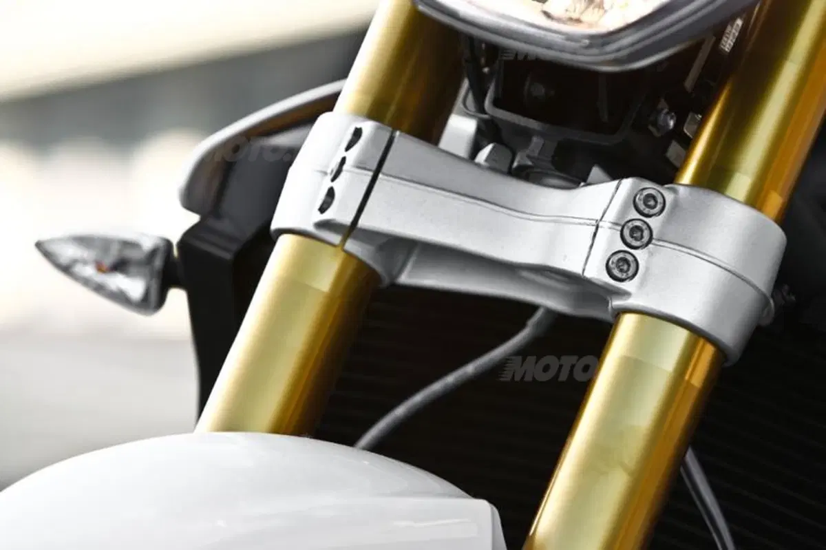 Triumph Speed Triple 1050 R  (69)