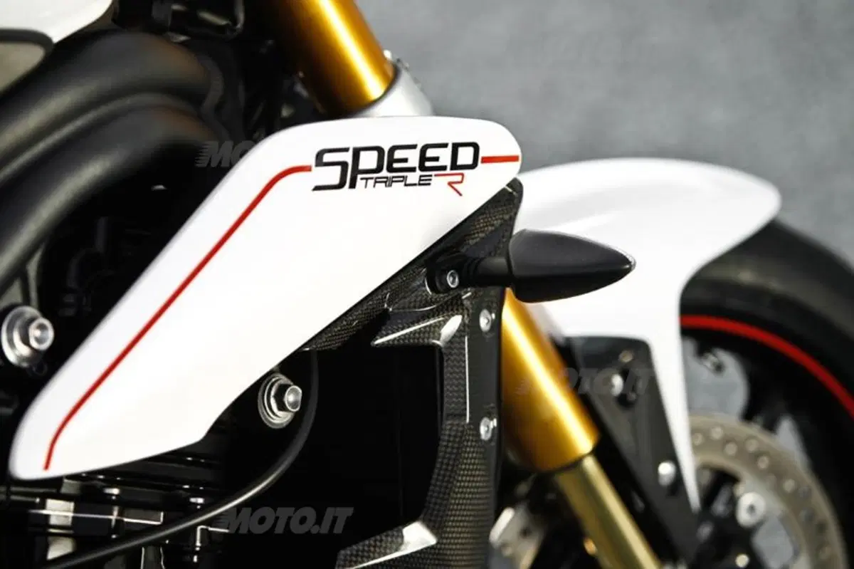 Triumph Speed Triple 1050 R  (81)